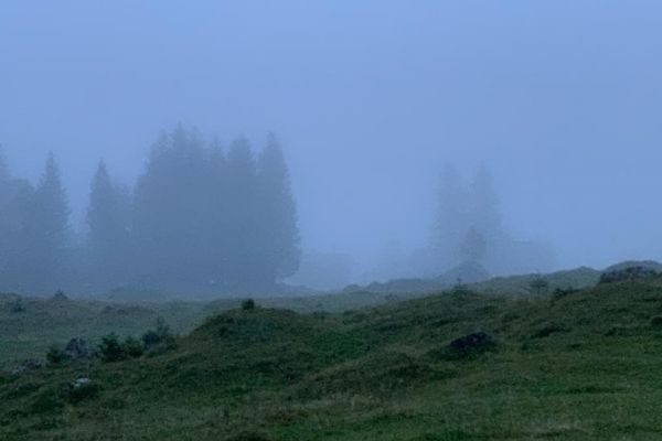 Verantwortung übernehmen: 6 Tipps für selbstverantwortliches Denken und Handeln